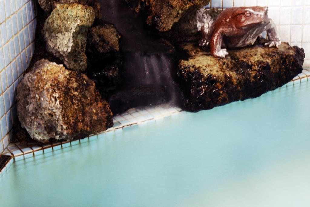 Ryokan Seizan-So Kaminoyama Ruang foto